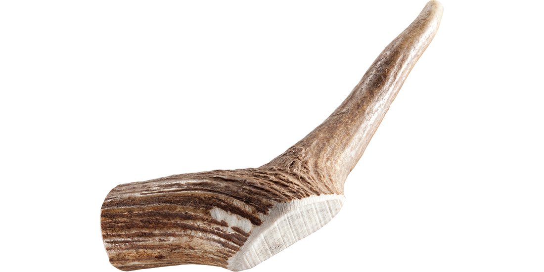 Corna di cervo nobile Chewies – M