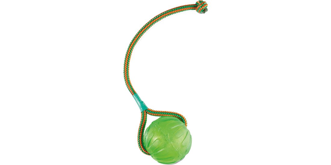 Starmark Swing n’ Fling Chew Ball per cane – …