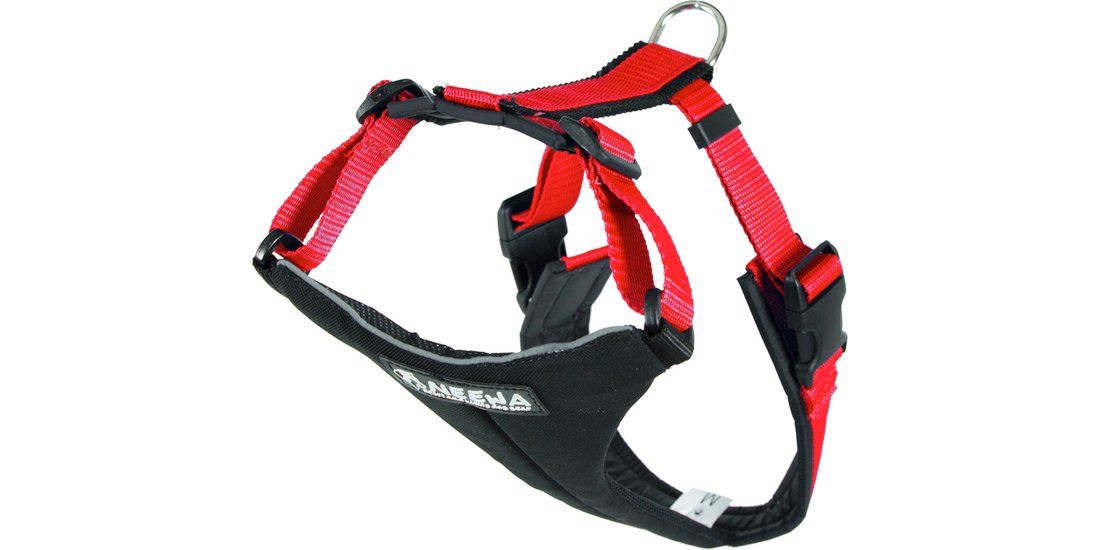 Pettorina NEEWA Running rossa – 54 – 84 cm circ…