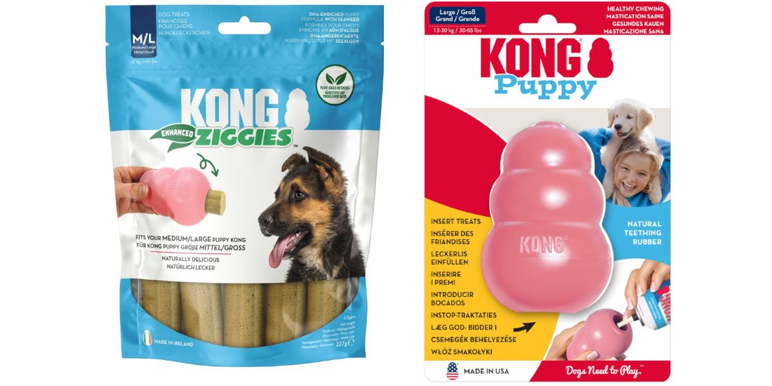 KONG Puppy – Rosa L + Snack KONG Enhanced Ziggies…