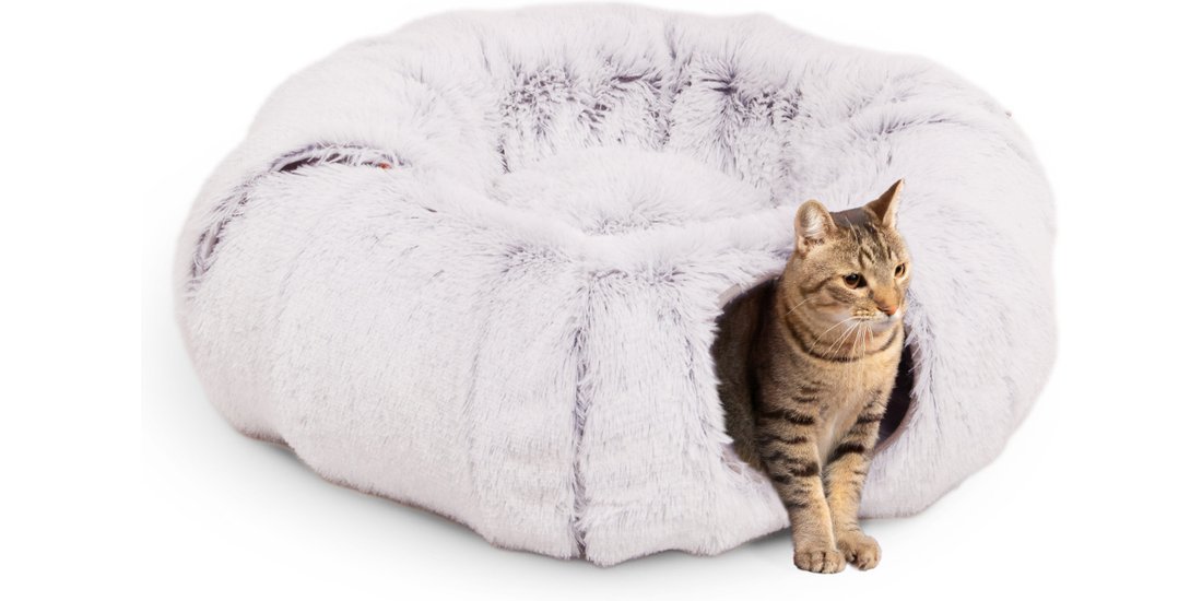 Canadian Cat Company Tunnel-Ciambella con cuscino…