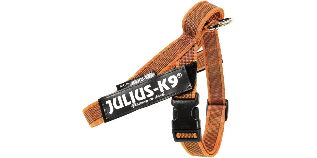 Pettorina Julius-K9 IDC arancio/grigio – 49 – …