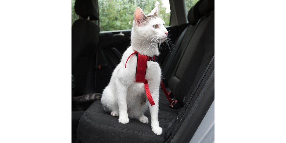 Pettorina da automobile per gatti Trixie – rosso…