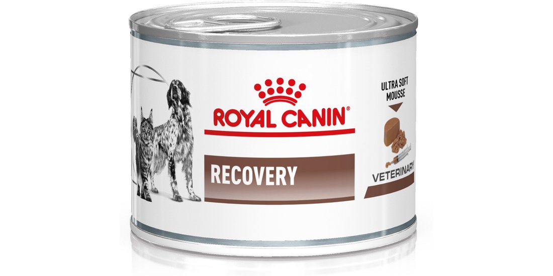 Royal Canin Recovery Veterinary Mousse cane e…