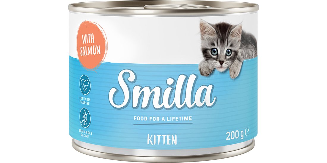 Smilla Kitten 6 x 200 g umido gatto – Salmone