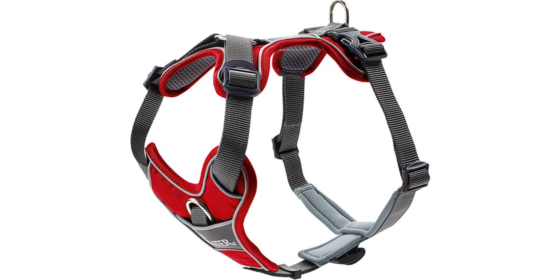 Pettorina Hunter Divo – rosso / grigio – 56-73…