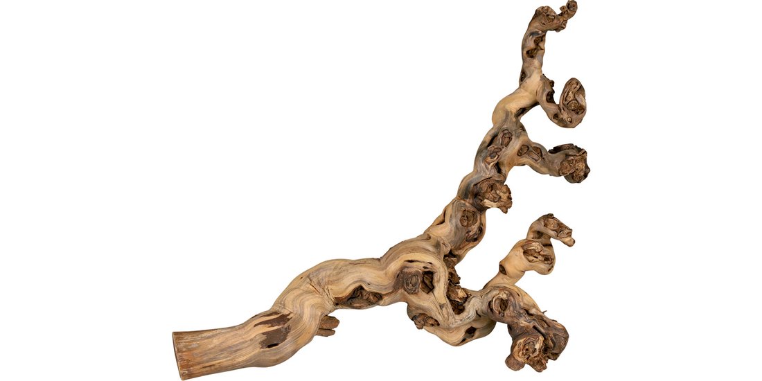 Trixie Vitigni sabbiati – 40 – 60 cm