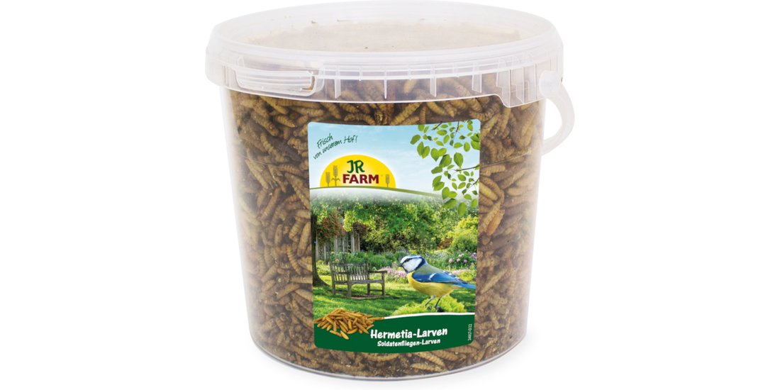 JR Farm Larve di Hermetia/Mosca soldato nera – …