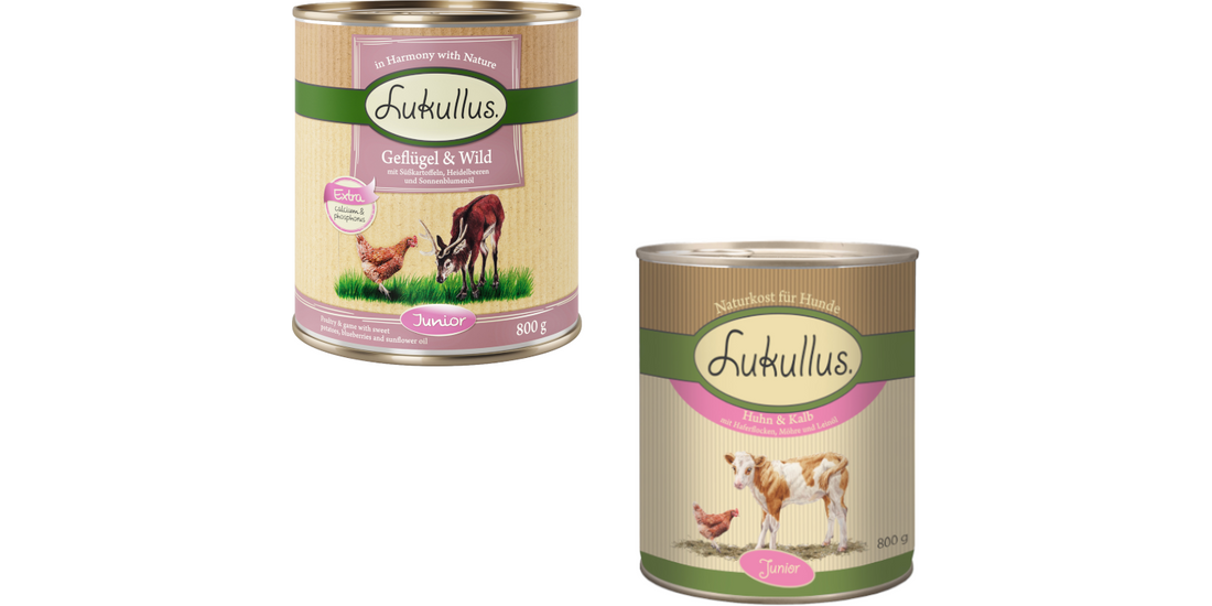 Lukullus Junior 24 x 800 g – Mix 3: 12 Pollo & …