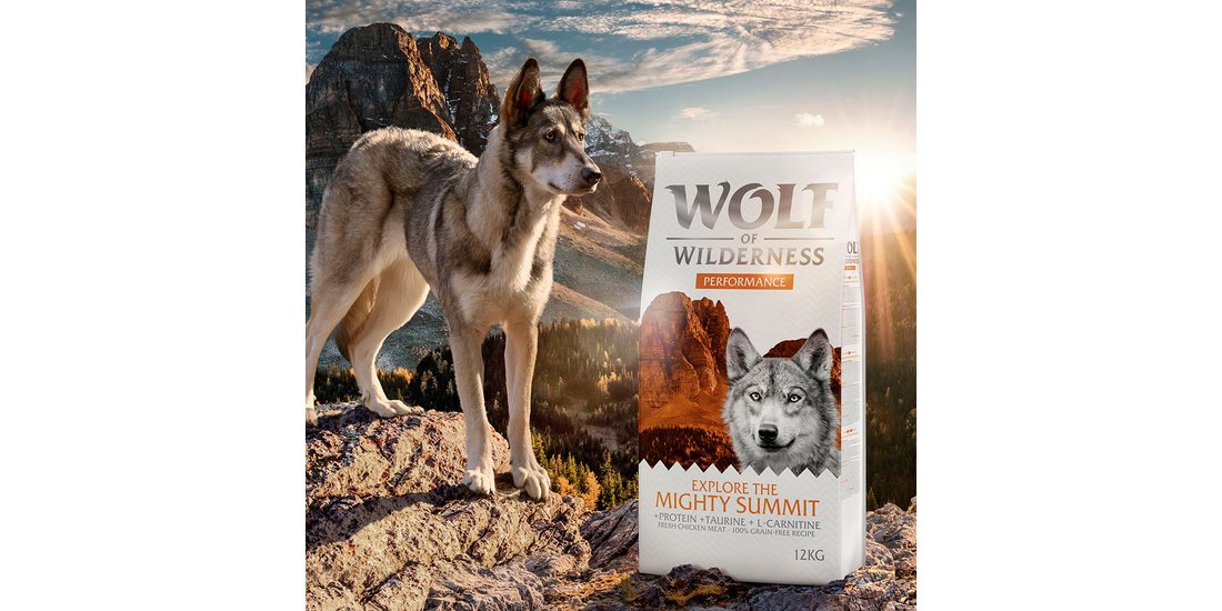 Wolf of Wilderness “Explore The Mighty Summit…