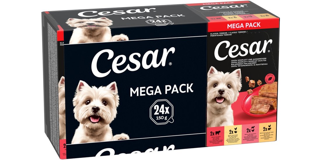 Cesar Vaschette 24 x 150 g Umido per cane – Ricette…