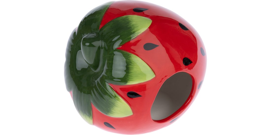 Casetta in ceramica TIAKI Fragola per topi e …