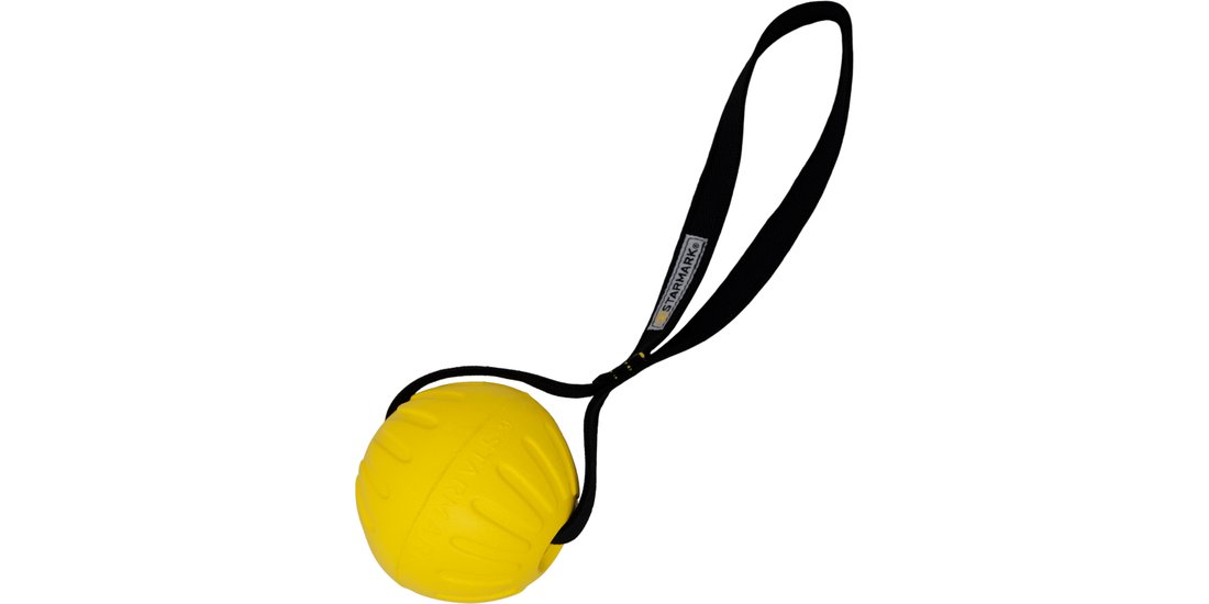 Starmark GripCord Durafoam Ball Loop – Tg. L: …