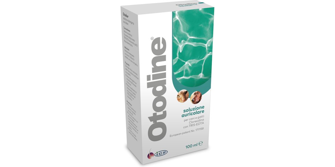 Otodine Soluzione Auricolare Cani e Gatti – 100…