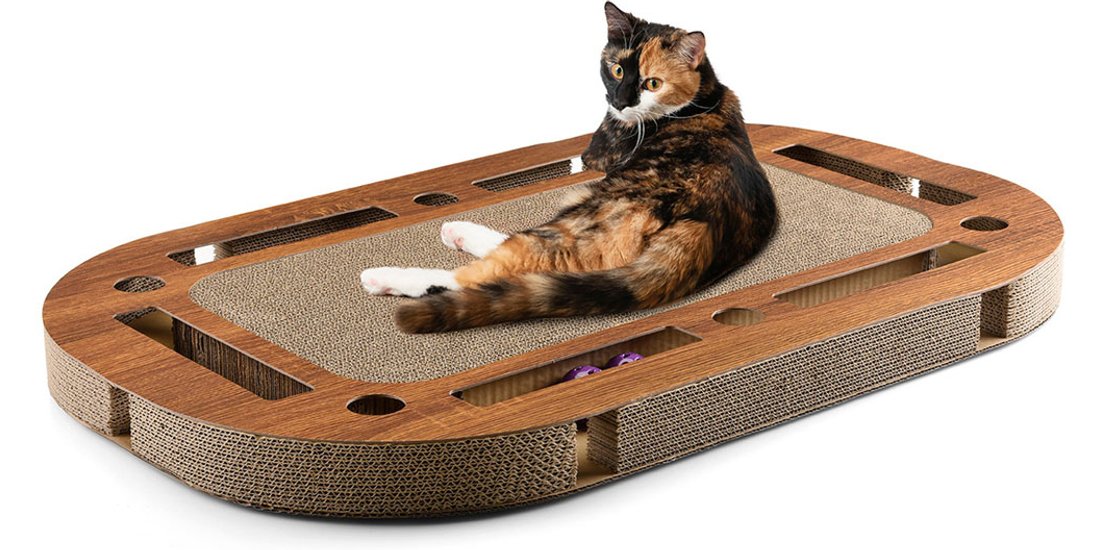 Canadian Cat Company PlayPlate XL Noce – circa…