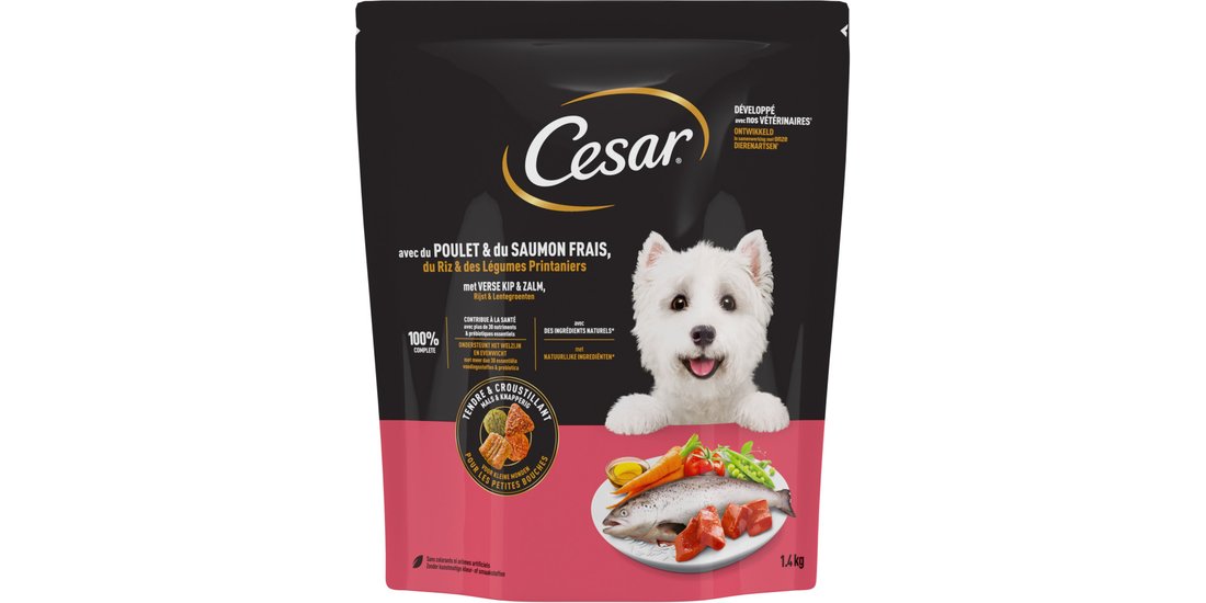 Cesar Adult con Pollo Salmone e Verdure – Set…