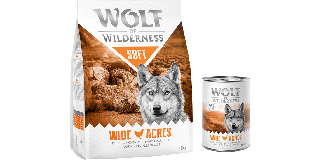 Set prova misto! Wolf of Wilderness Adult secco…