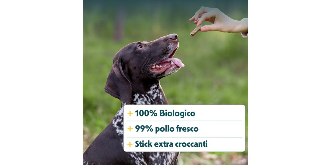 Yarrah Bio Crunchy Sticks Essiccati al Forno – …