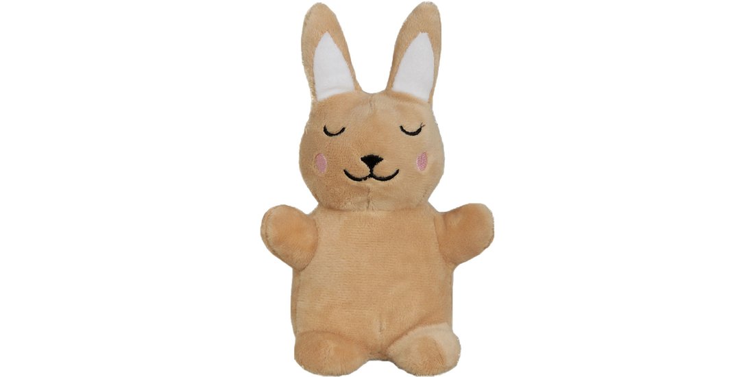 Gioco per gatti Aumüller Leprotto Baldi-Bunny…