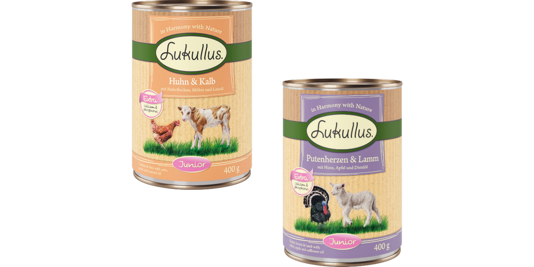 Lukullus Junior 12 x 400 g – Mix (2 gusti): Cuori…