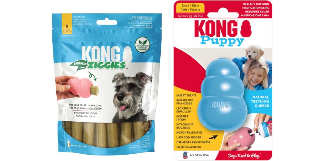 KONG Puppy – Blu S + Snack KONG Enhanced Ziggies…