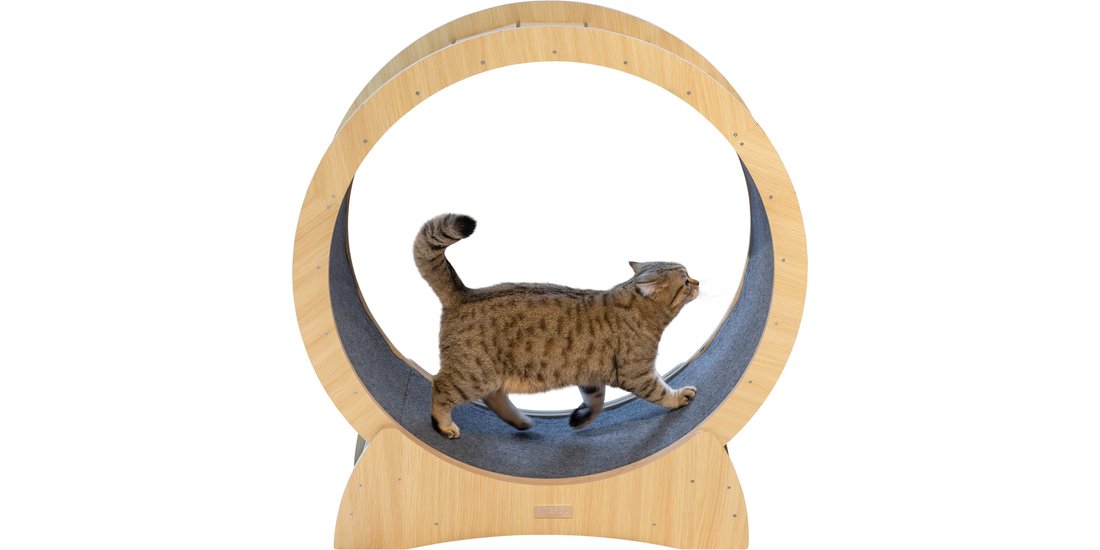 Kerbl Pet Ruota da corsa per gatti – Ø 90 cm