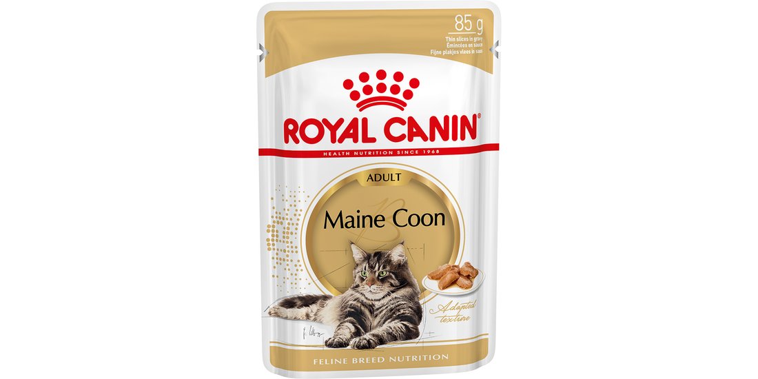 Royal Canin Maine Coon umido in Salsa per gatti…