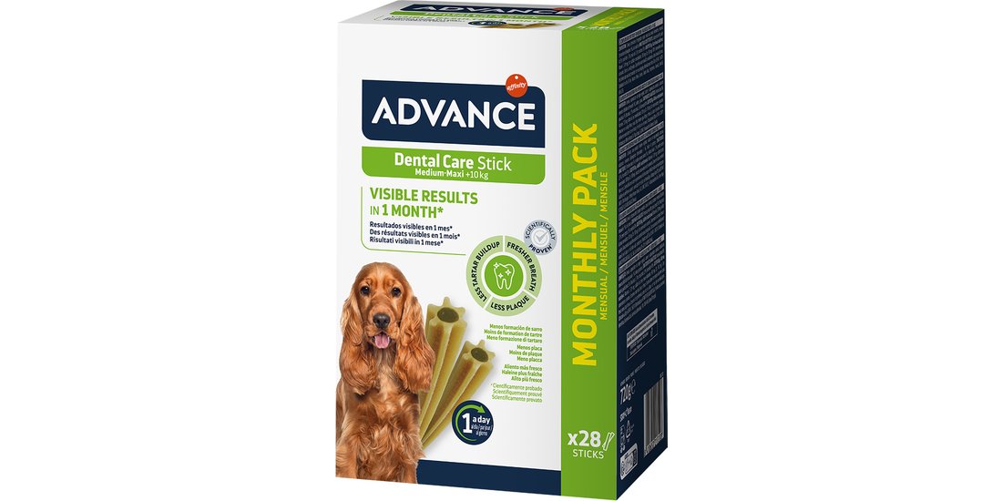 Advance Dental Medium Stick Snack per cane – …