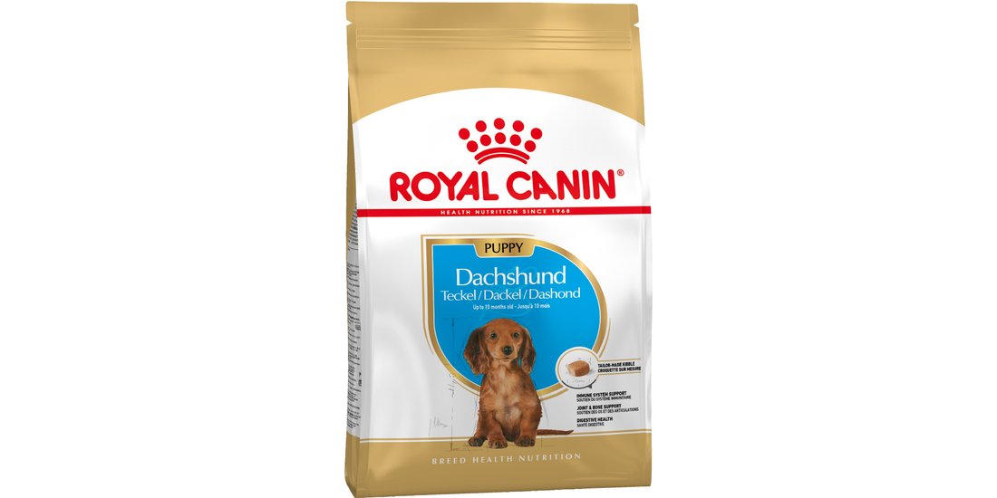 Royal Canin Bassotto (Dachshund) Puppy Crocchette…