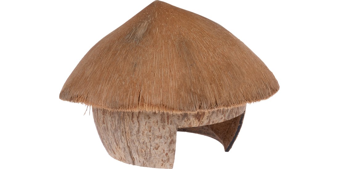 Casetta Noce di Cocco TIAKI per criceti e topi…