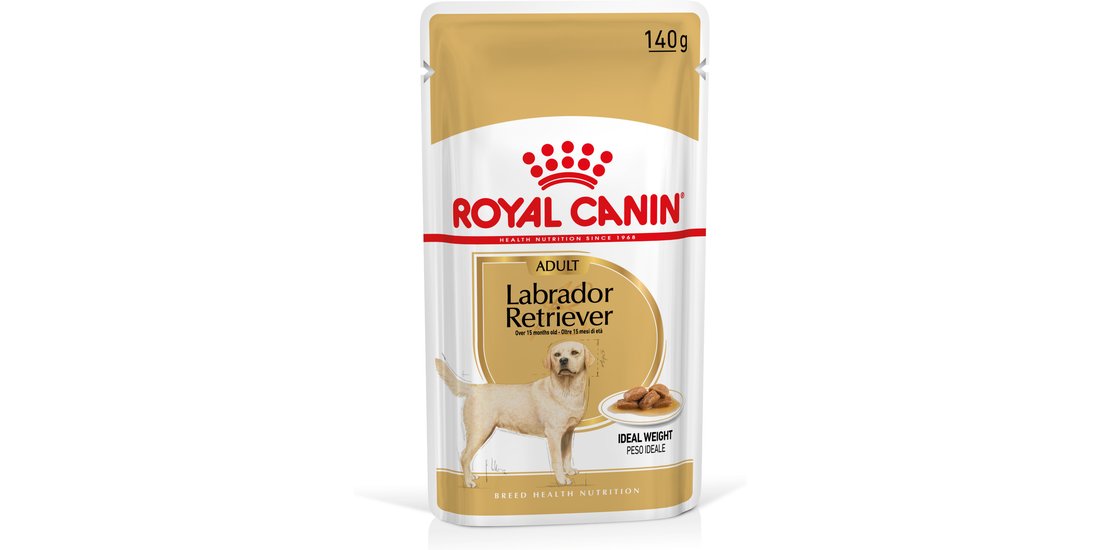 Royal Canin Labrador Retriever Adult umido in…