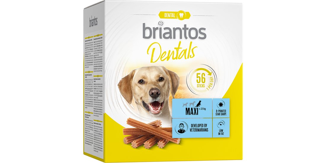 Briantos Dentals Snack per cani – Maxi (56 bastoncini…