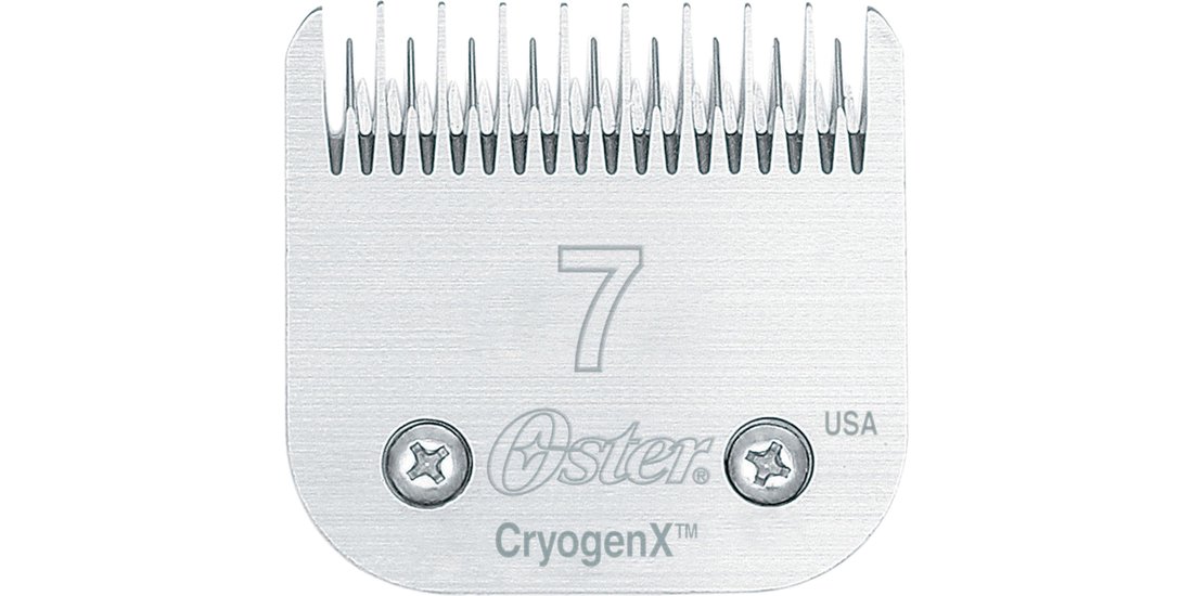 Tosatrice Oster Golden A5 – Testa di taglio n…