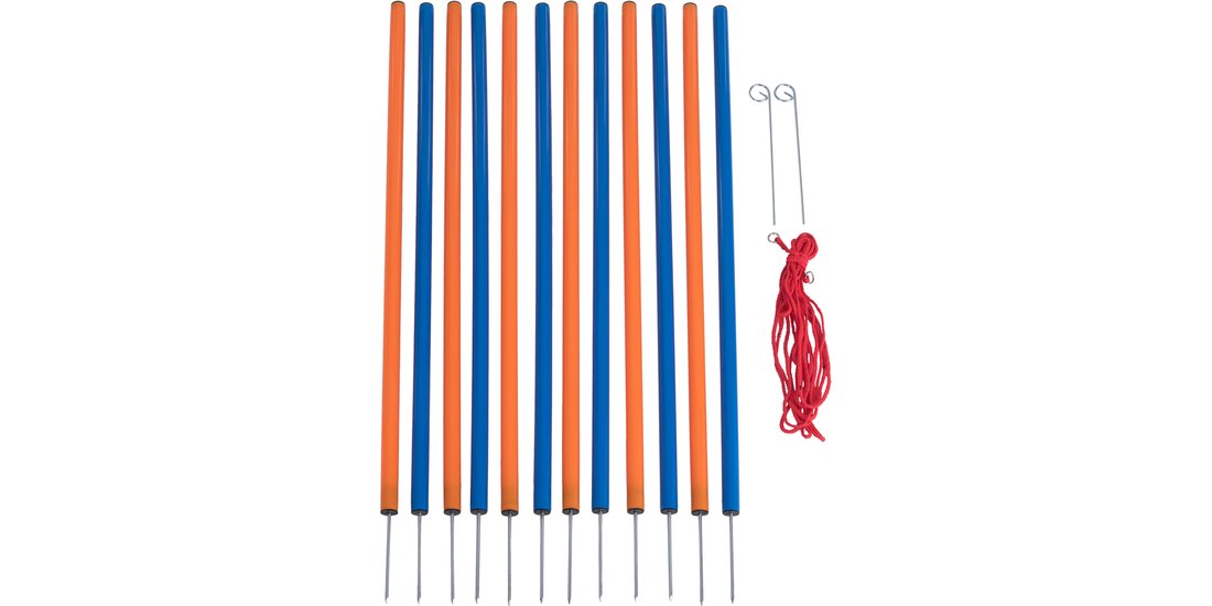 Set completo per Agility Dog Fun & Sport – 4 …