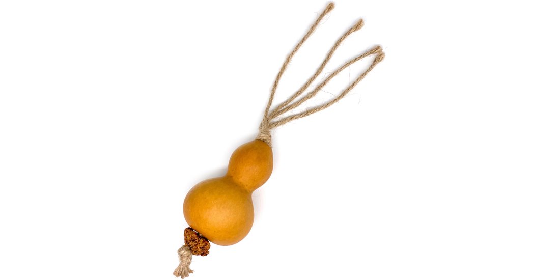 Gioco dentale per gatti Aumüller Zucca con matatabi…