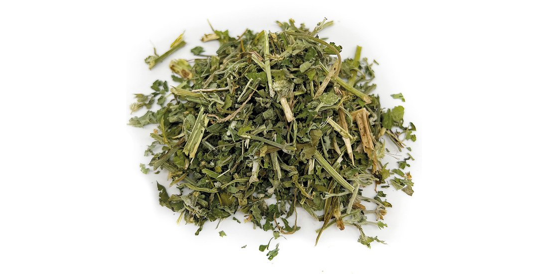 Aumüller Catnip fresco – 30 g