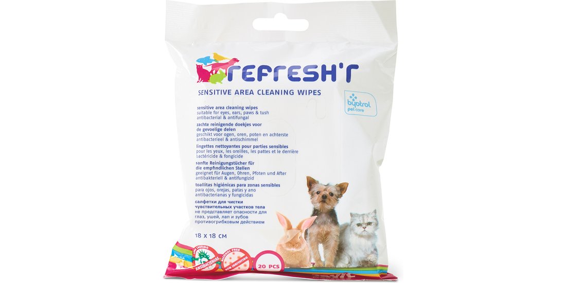 Welcome Kit Kitten beauty – 4 pz