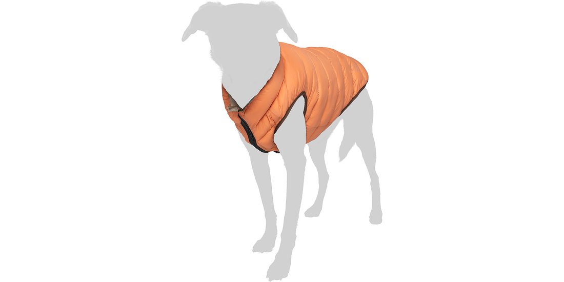Cappotto per cane Nomad Tales Bloom Puffer arancione…