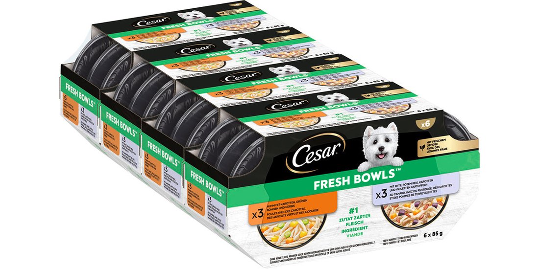 Cesar Fresh Bowls Umido per cane – Set %: 48 …