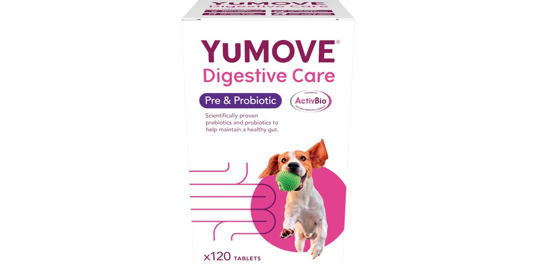 YuMOVE Digestive Care Pre & Probiotic Cane – …