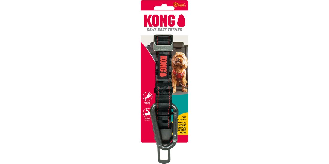 KONG Cintura di sicurezza – L 29 x P 75 x H …