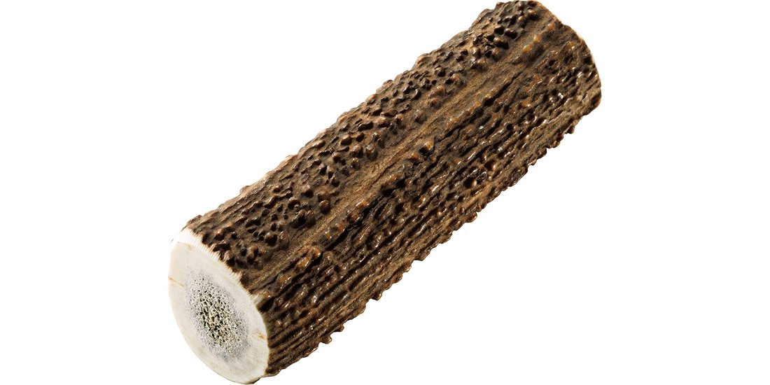 Corna di cervo nobile Chewies – L