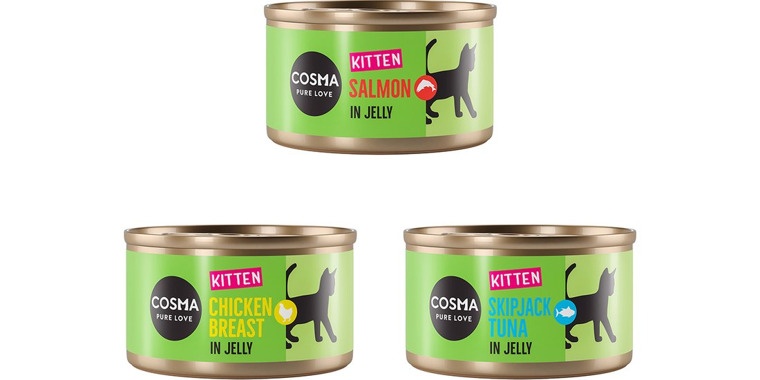 Cosma Original Kitten 24 x 85 g Alimento umido…
