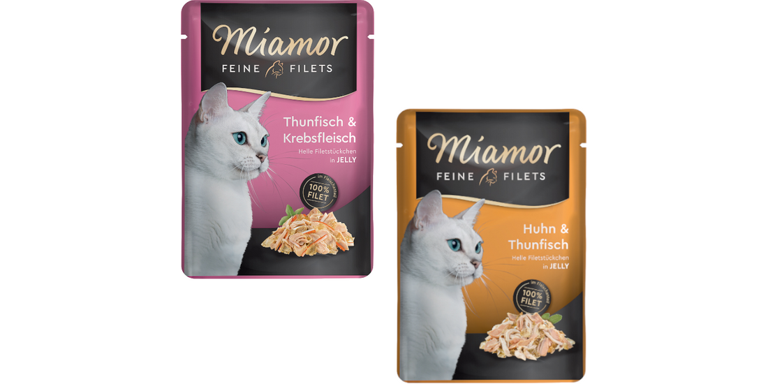 Miamor Delicato Filetto in Gelatina – buste 24…