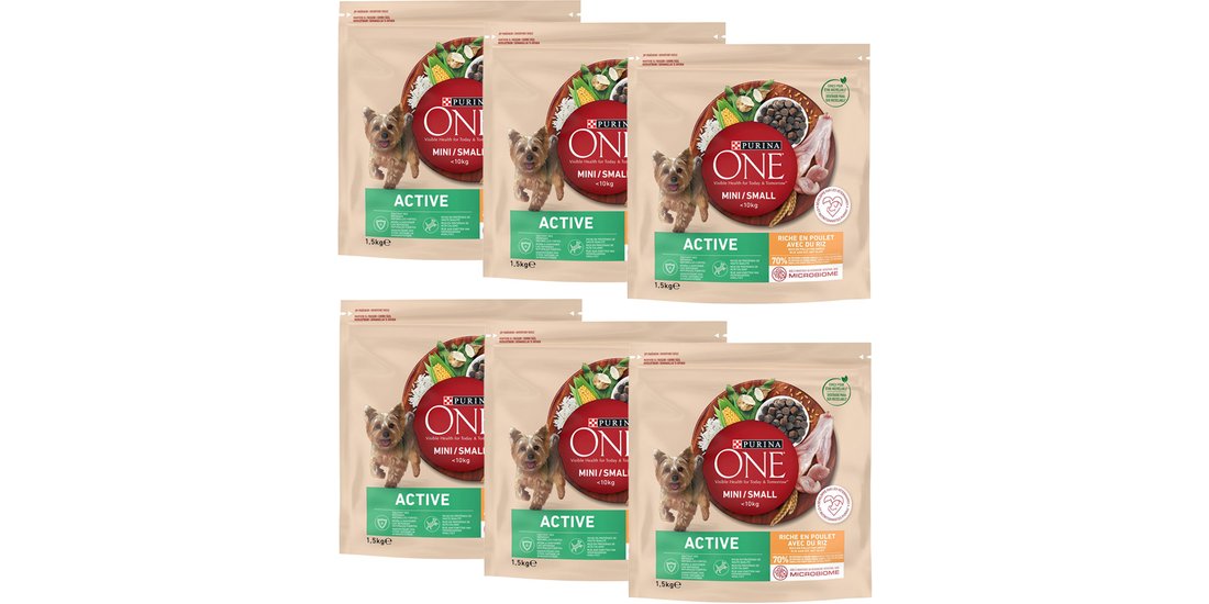 PURINA ONE Mini Active Pollo e Riso Crocchette…