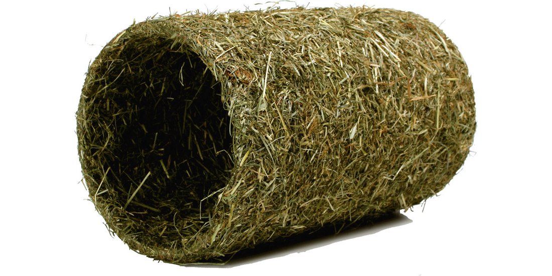 Tunnel di fieno JR Farm – lunghezza: 25 cm Ø …