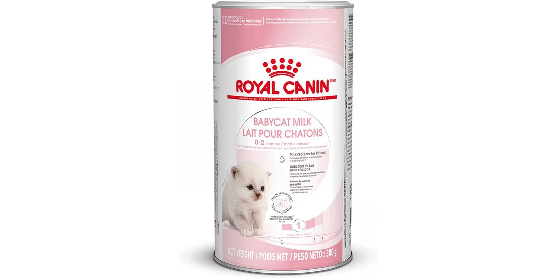 Royal Canin Babycat Milk – 300 g