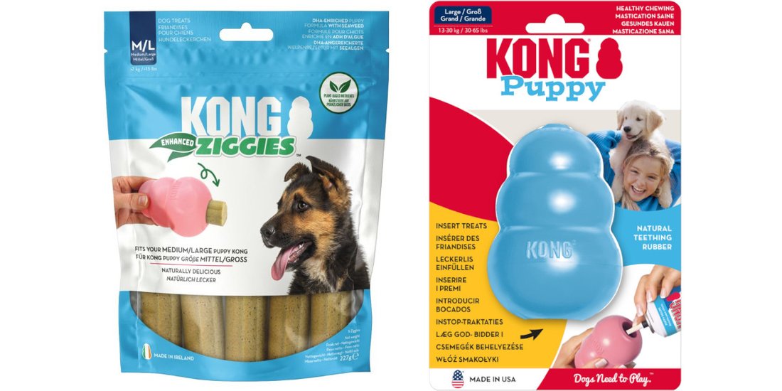 KONG Puppy – Blu L + Snack KONG Enhanced Ziggies…