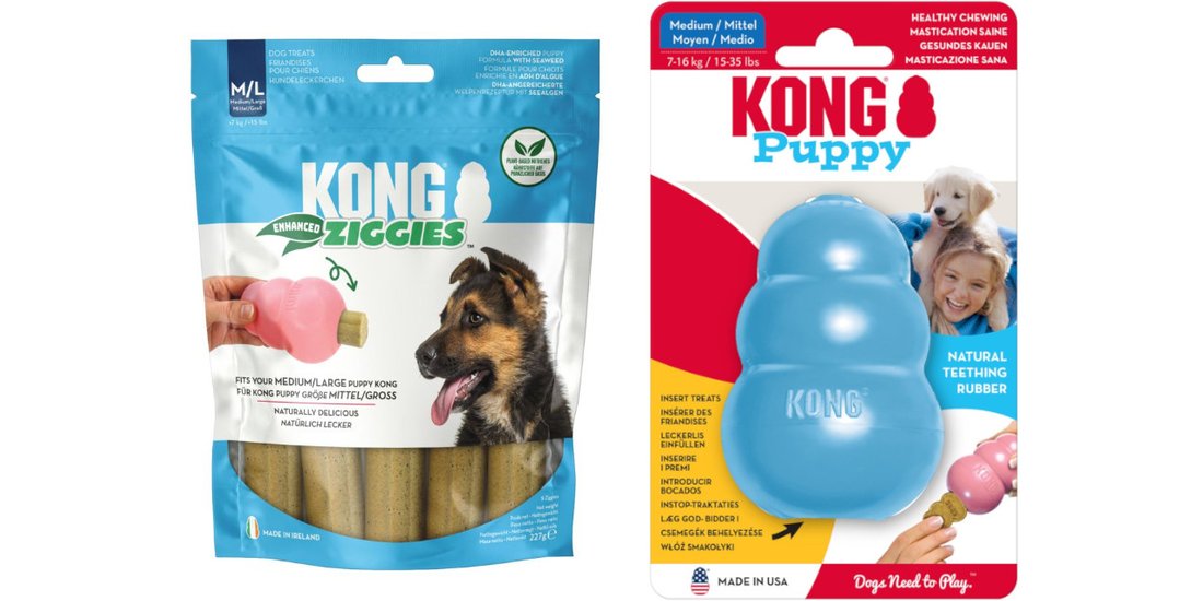 KONG Puppy – Blu M + Snack KONG Enhanced Ziggies…