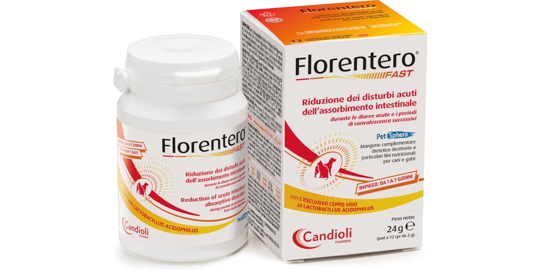 Florentero Fast – 12 pz (24 g)